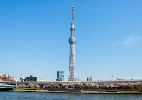 新旧対決！ 東京タワーorスカイツリー、大学生カップルに人気なデートスポットはどっち？