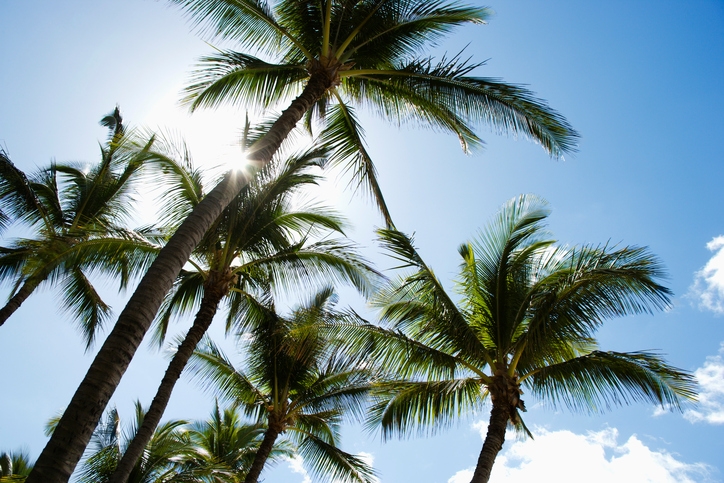 ハワイのおすすめ観光地20選！ 治安、旅費などの基本情報から最新スポットまで解説