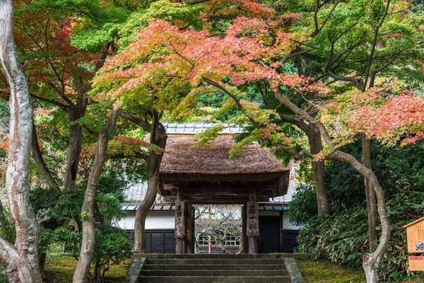 鎌倉の円覚寺