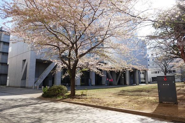 樋野先生の研究室がある東京大学本郷キャンパス