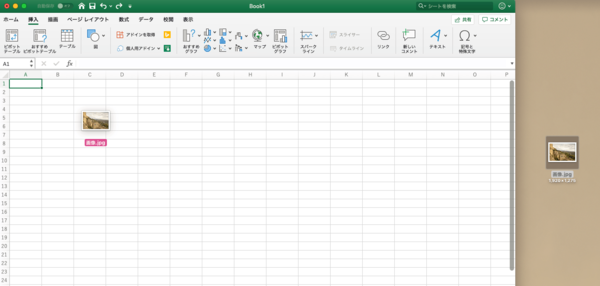 mac エクセル 画像　