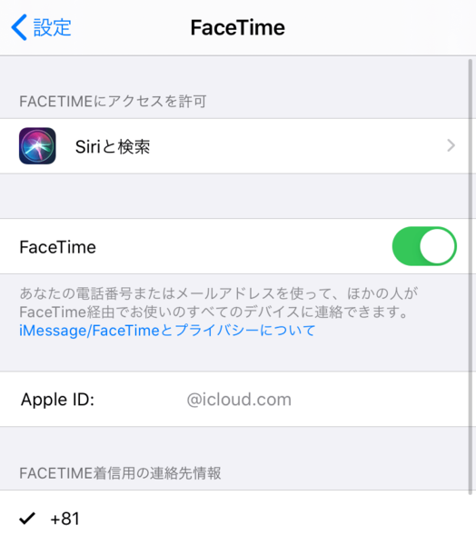 【web面接】FaceTime（フェイスタイム）を使うときの準備と操作手順について解説