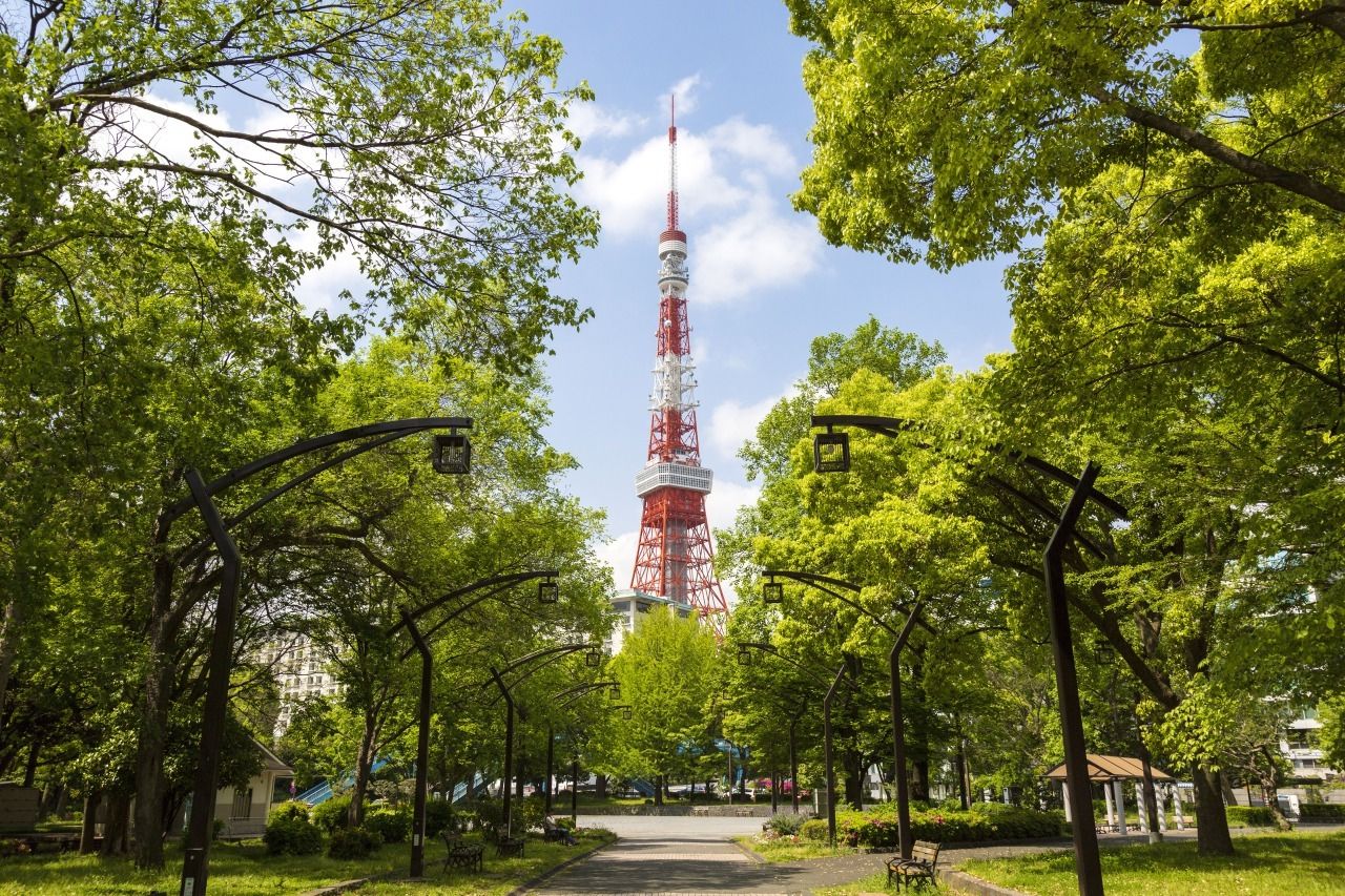 【階段で登れちゃう⁉】はじめての『東京タワーおどおど（チケット購入編）』を解決　＃あつまれ_おどおど学生