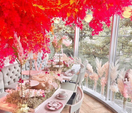 【カフェの中に紅葉の庭園が！】  まるでおとぎ話の空間です！#Z世代Pick