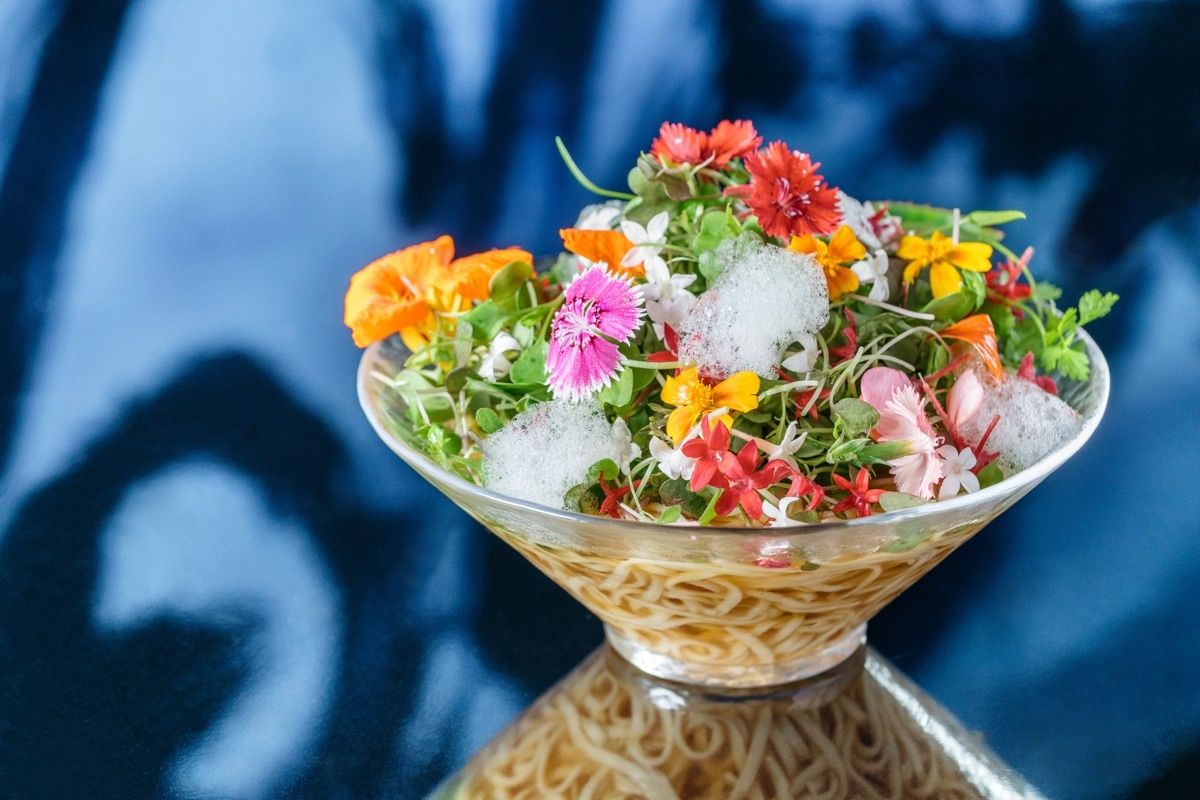 【豊洲のチームラボプラネッツ】花と一体化する庭園の作品《Floating Flower Garden》にて、世界にひとつしかない日本最大級のランを公開。#Z世代Pick