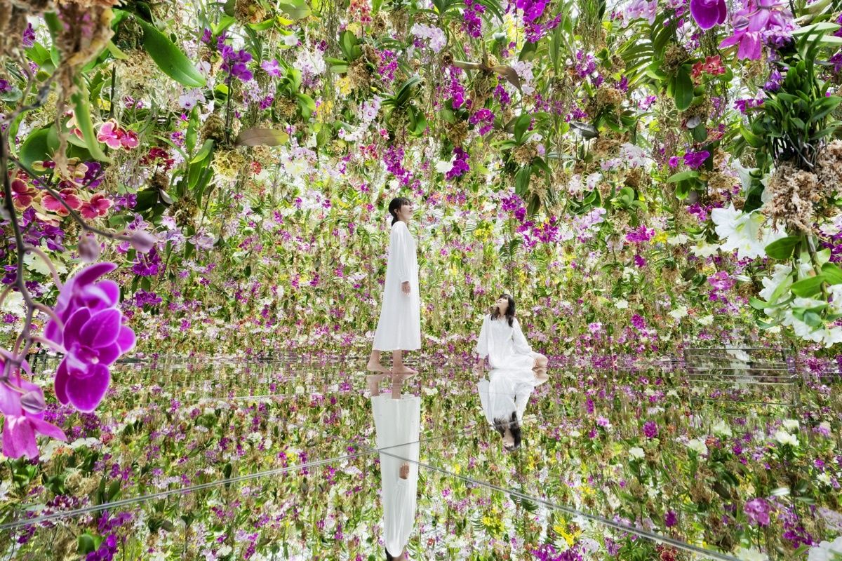 【豊洲のチームラボプラネッツ】花と一体化する庭園の作品《Floating Flower Garden》にて、世界にひとつしかない日本最大級のランを公開。#Z世代Pick