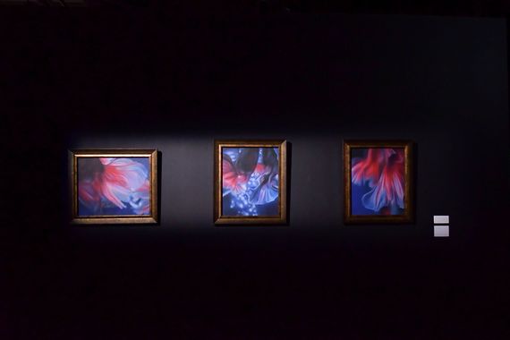 銀座で芸術の秋を楽しもう！「生命の宿る金魚アート」をアートアクアリウム美術館 GINZAで堪能　#Z世代Pick