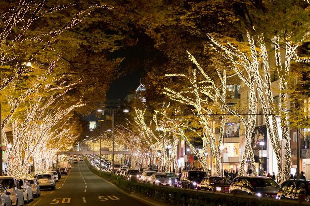 今年のクリスマスは、アフタヌーンティーバスツアーで決まり！英国発スキンウェルネスビューティブランド「エレミス」とのスペシャルコラボレーションで東京のイルミネーションを堪能！#Z世代Pick