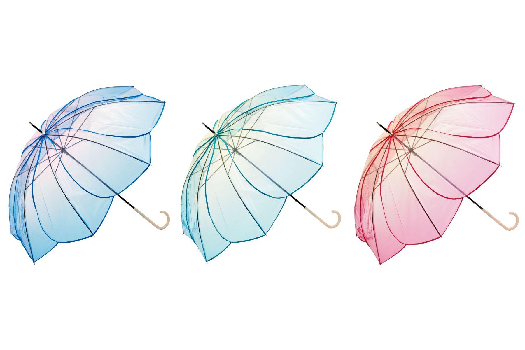 大ヒット中の「花びらに包まれるようなクリア傘」の新シリーズが登場！　#Z世代Pick