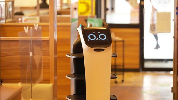 【耳なでOK？ ファミレスで配膳ロボットに遭遇⁉】はじめての「配膳ロボット」おどおど　＃あつまれ！_おどおど学生。