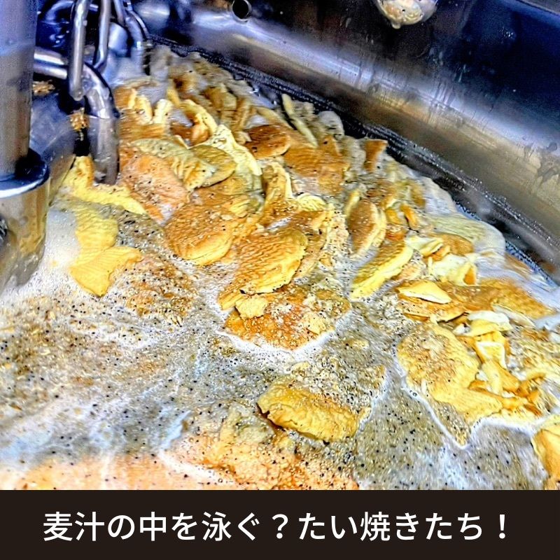 「横浜くりこ庵」コラボレーション！たい焼きの皮を投入した「たい焼きビール」が数量限定で発売開始！#Z世代Pick