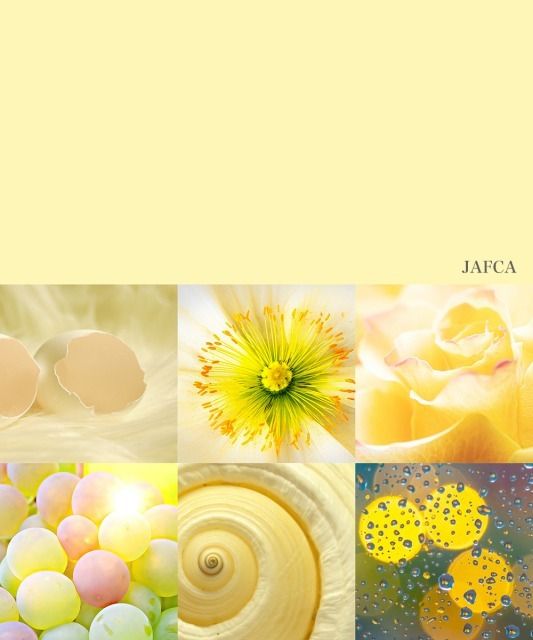 日本流行色協会が「2023年の色」を発表！2023年の色は！？ #Z世代Pick
