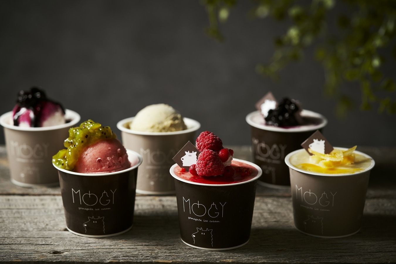 【山形のおいしさが詰まった！】フルーツアイスクリーム専門店「MOGY」が12月16日オープン！ #Z世代Pick
