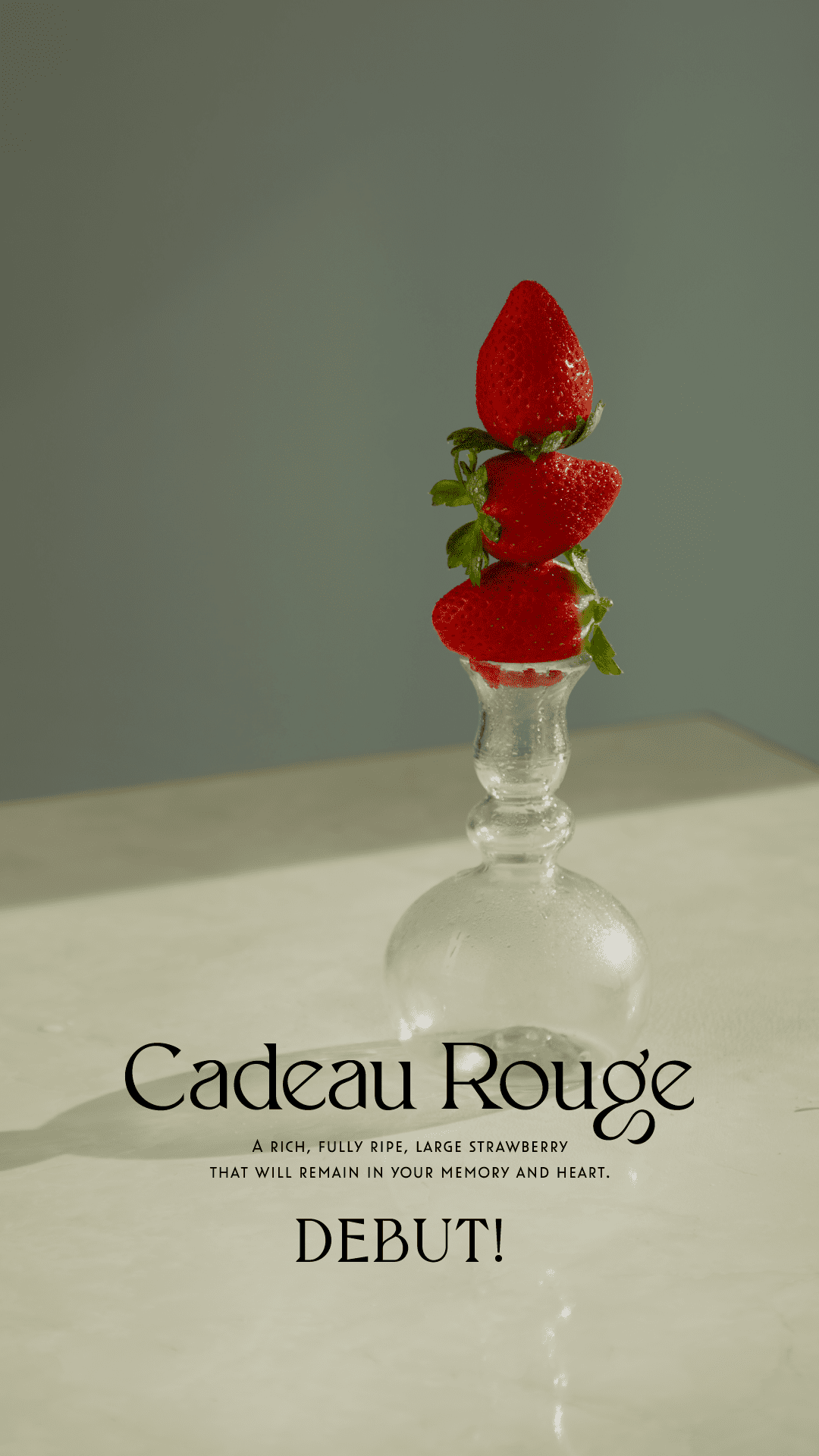 【BEAMSのいちご！？】ビームスがプロデュースした珠玉の完熟大粒イチゴブランド「Cadeau Rouge（カドー ルージュ）」が発売　#Z世代Pick