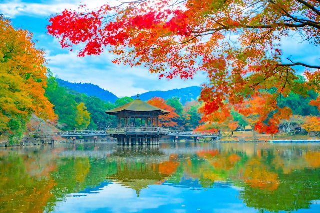 【東大寺だけじゃない！ 奈良公園周辺は魅力がいっぱい 】はじめての「奈良公園とその周辺おどおど」＃あつまれ！_おどおど学生。