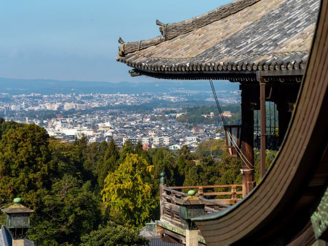 【東大寺だけじゃない！ 奈良公園周辺は魅力がいっぱい 】はじめての「奈良公園とその周辺おどおど」＃あつまれ！_おどおど学生。