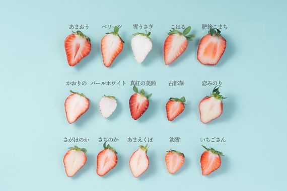【全国各地のいちごを食べ比べ！】旬のイチゴを堪能する「いちご12種食べ比べ」期間限定販売　#Z世代Pick