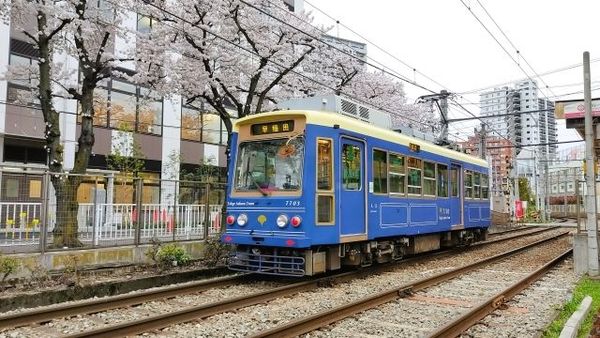 東京の路面電車でぶらり春散歩はいかが？】はじめての「都電荒川線（東京さくらトラム）おどおど」＃あつまれ！_おどおど学生。 | 大学入学・新生活 |  学生トレンド・流行 | マイナビ 学生の窓口