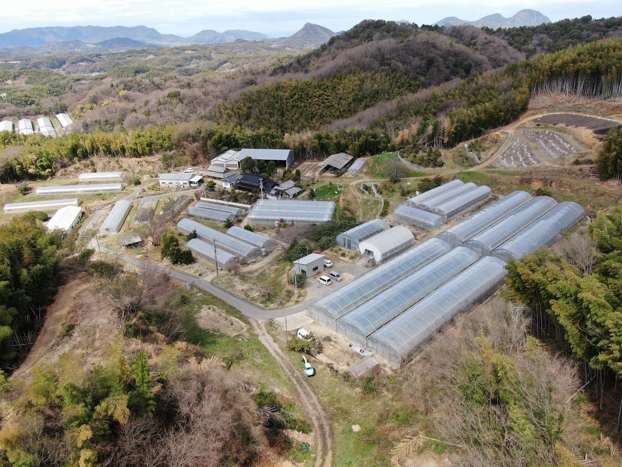 「香川県をアボカド産地に！」移住して農業法人で就農、橋本純子さんが語る農業の魅力