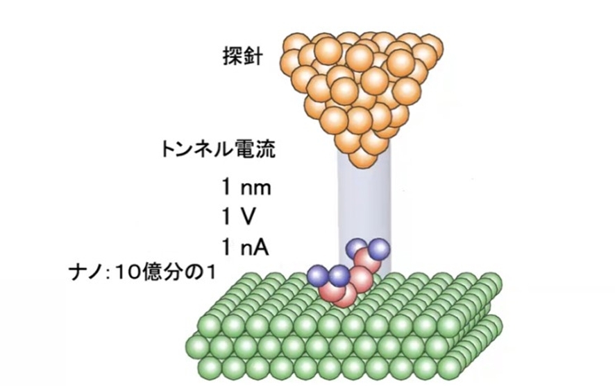 「顕微鏡」でどこまで小さい物が見えますか？   #もやもや解決ゼミ